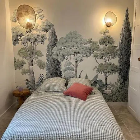 Nid Douillet Cosy T2 Quartier Centre-ville Apartment