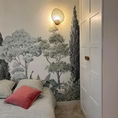 Nid Douillet Cosy T2 Quartier Centre-ville Apartment Sete